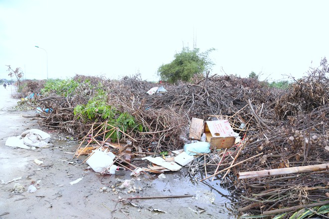 Nghệ An: Rác chất thành núi gây ô nhiễm- Ảnh 7.