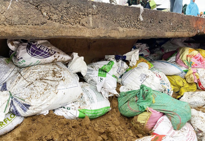 Bờ kè ven sông Thu Bồn bị 'ngoạm' từng mét, hàng nghìn người căng mình giữ đất- Ảnh 10. Bờ kè ven sông Thu Bồn bị 'ngoạm' từng mét, hàng nghìn người căng mình giữ đất- Ảnh 10.