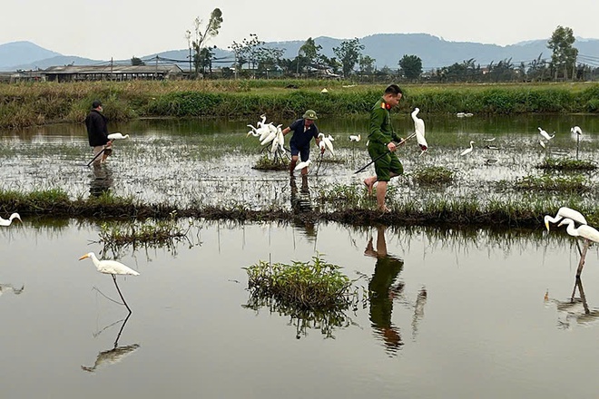 Truy quét hàng loạt vụ săn bắt, buôn bán động vật hoang dã- Ảnh 3. Truy quét hàng loạt vụ săn bắt, buôn bán động vật hoang dã- Ảnh 3.