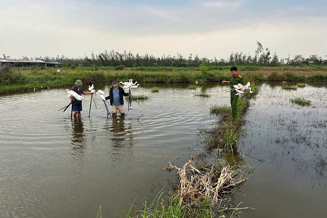 Truy quét hàng loạt vụ săn bắt, buôn bán động vật hoang dã- Ảnh 2. Truy quét hàng loạt vụ săn bắt, buôn bán động vật hoang dã- Ảnh 2.