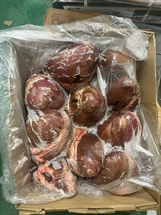 TPHCM: Phát hiện kho chứa hơn 30 tấn nội tạng động vật không nguồn gốc- Ảnh 3.