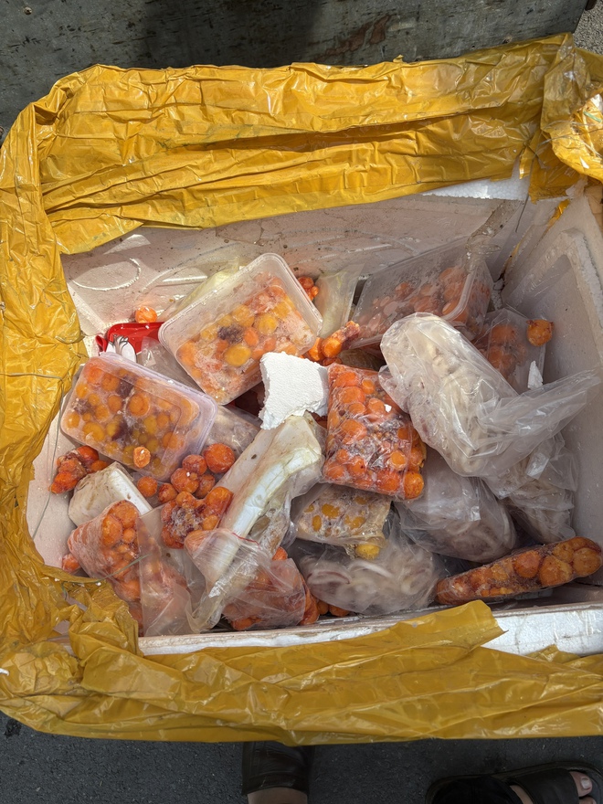 TPHCM: Phát hiện kho chứa hơn 30 tấn nội tạng động vật không nguồn gốc- Ảnh 2.