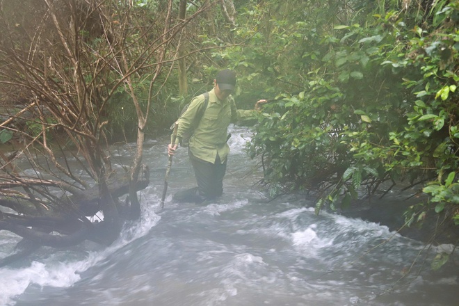 Lắp đặt hơn 60 bẫy ảnh giám sát động vật quý hiếm ở Khu bảo tồn thiên nhiên Pù Huống- Ảnh 5.
