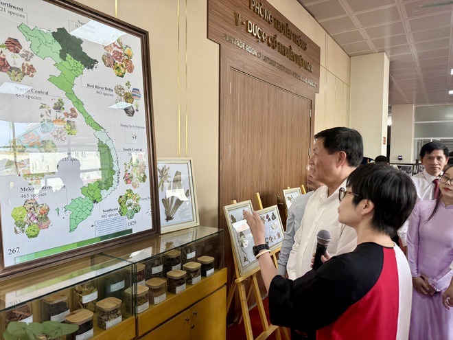 Thứ trưởng Bộ Y tế: Kết hợp y học cổ truyền và y học hiện đại để nâng cao chất lượng khám chữa bệnh, bảo vệ sức khỏe người dân- Ảnh 3. Thứ trưởng Bộ Y tế: Kết hợp y học cổ truyền và y học hiện đại để nâng cao chất lượng khám chữa bệnh, bảo vệ sức khỏe người dân- Ảnh 3.