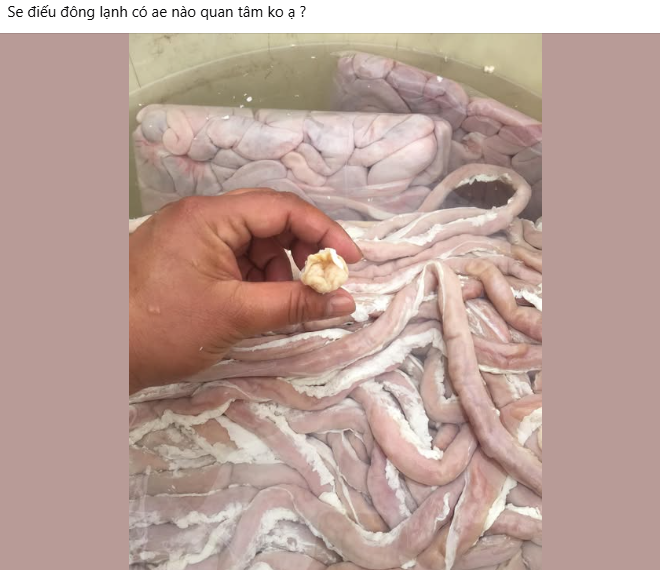 Lòng se điếu cực hiếm ở chợ truyền thống, không phải cứ có tiền là mua được- Ảnh 5. Lòng se điếu cực hiếm ở chợ truyền thống, không phải cứ có tiền là mua được- Ảnh 5.