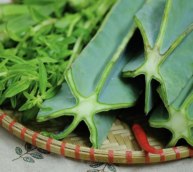 Biến cây dại đầy gai góc mọc trên cồn cát thành món ngon 'độc lạ'- Ảnh 3. Biến cây dại đầy gai góc mọc trên cồn cát thành món ngon 'độc lạ'- Ảnh 3.