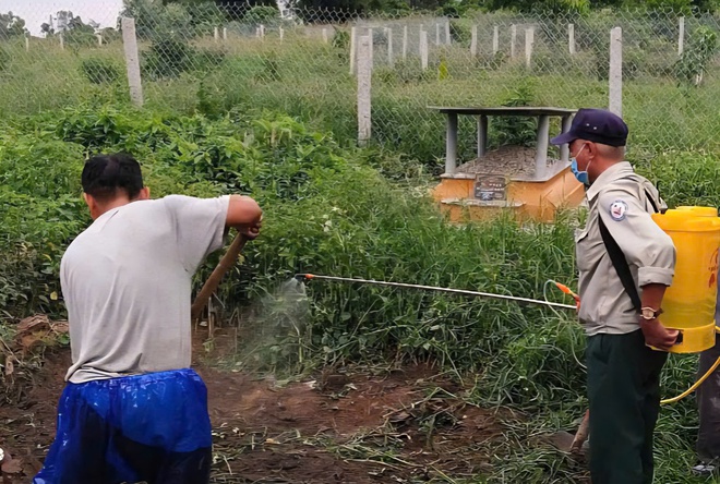 Huế siết chặt giám sát lò mổ sau khi ghi nhận nhiều ca mắc liên cầu lợn- Ảnh 3. Huế siết chặt giám sát lò mổ sau khi ghi nhận nhiều ca mắc liên cầu lợn- Ảnh 3.