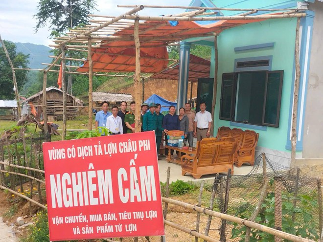 Xuất hiện tình trạng bán tháo lợn bệnh khi dịch tả lợn châu Phi lan rộng- Ảnh 4. Xuất hiện tình trạng bán tháo lợn bệnh khi dịch tả lợn châu Phi lan rộng- Ảnh 4.