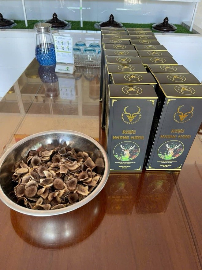 Trang trại mua nhung hươu tươi, hươu giống uy tín tại Hương Sơn - Hà Tĩnh- Ảnh 3. Trang trại mua nhung hươu tươi, hươu giống uy tín tại Hương Sơn - Hà Tĩnh- Ảnh 3.