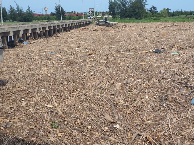 Người dân Hà Tĩnh lo lắng vì hàng trăm tấn rác chặn luồng lạch- Ảnh 5. Người dân Hà Tĩnh lo lắng vì hàng trăm tấn rác chặn luồng lạch- Ảnh 5.