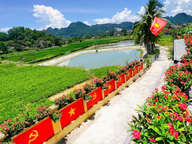 Cách yêu nước độc đáo của vợ chồng miền núi Nghệ An- Ảnh 6.