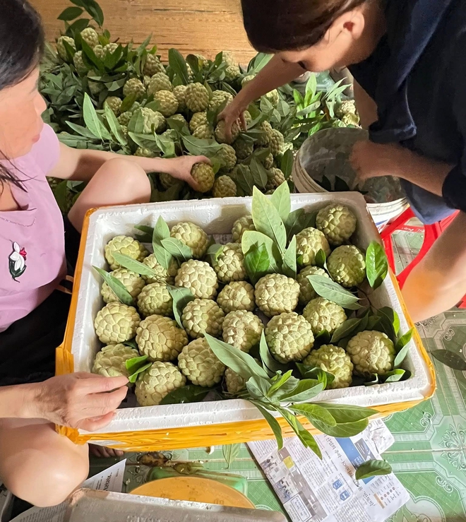 Na Lạng Sơn vào mùa, bà nội trợ Hà thành rộn ràng 'săn' đặc sản- Ảnh 2.