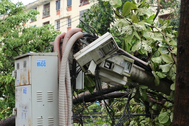 Nỗ lực giải tỏa nhiều tuyến phố Nghệ An sau bão- Ảnh 6. Nỗ lực giải tỏa nhiều tuyến phố Nghệ An sau bão- Ảnh 6.