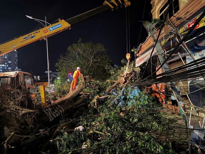 Xuyên đêm khôi phục điện cho người dân ở Nghệ An sau bão số 5- Ảnh 9. Xuyên đêm khôi phục điện cho người dân ở Nghệ An sau bão số 5- Ảnh 9.