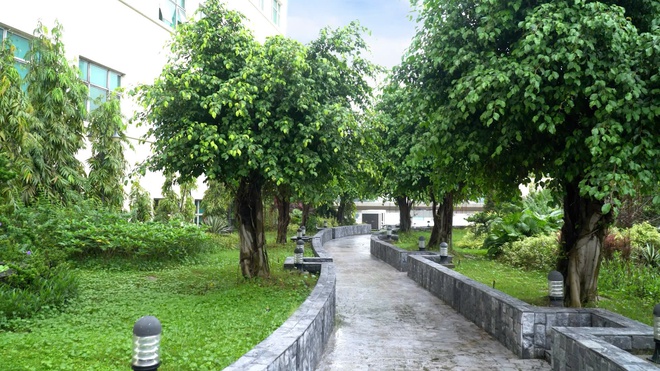 Động lực để các cơ sở y tế tiếp tục xây dựng môi trường Xanh - Sạch - Đẹp, phục vụ người bệnh ngày càng tốt hơn- Ảnh 12. Động lực để các cơ sở y tế tiếp tục xây dựng môi trường Xanh - Sạch - Đẹp, phục vụ người bệnh ngày càng tốt hơn- Ảnh 12.
