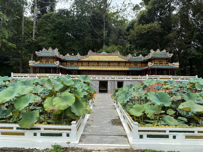 Địa đạo Củ Chi - Kỳ tích từ lòng đất thép- Ảnh 23. Địa đạo Củ Chi - Kỳ tích từ lòng đất thép- Ảnh 23.