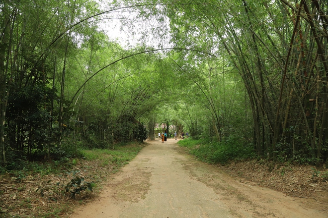 Địa đạo Củ Chi - Kỳ tích từ lòng đất thép- Ảnh 6. Địa đạo Củ Chi - Kỳ tích từ lòng đất thép- Ảnh 6.