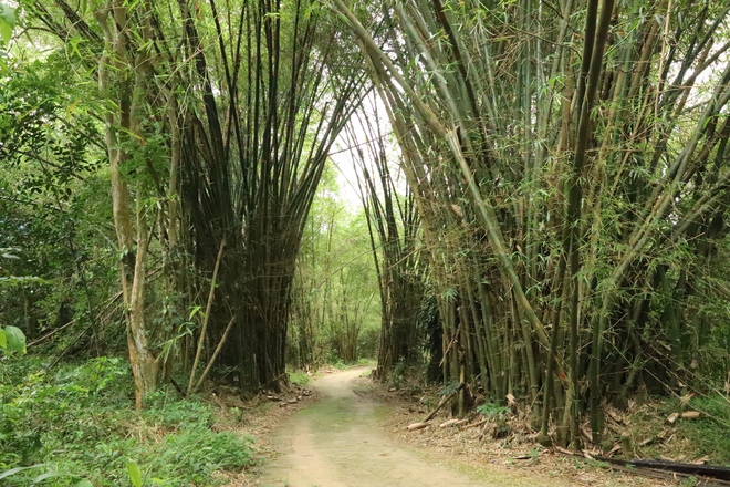 Địa đạo Củ Chi - Kỳ tích từ lòng đất thép- Ảnh 7. Địa đạo Củ Chi - Kỳ tích từ lòng đất thép- Ảnh 7.