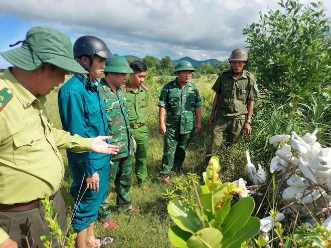 Tháo dỡ 'thiên la địa võng', bảo vệ chim hoang dã mùa di cư- Ảnh 13. Tháo dỡ 'thiên la địa võng', bảo vệ chim hoang dã mùa di cư- Ảnh 13.