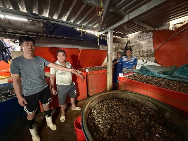 TPHCM: Triệt phá đường dây ngâm hơn 3.000 tấn ốc bươu trong 'thủy tinh lỏng'- Ảnh 3. TPHCM: Triệt phá đường dây ngâm hơn 3.000 tấn ốc bươu trong 'thủy tinh lỏng'- Ảnh 3.