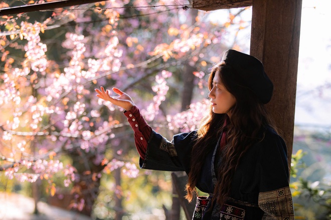 Hoa anh đào nhuộm hồng miền biên viễn xứ Nghệ- Ảnh 14.