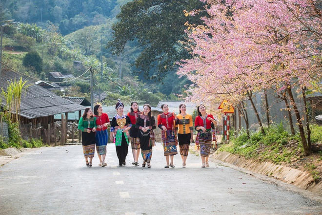 Hoa anh đào nhuộm hồng miền biên viễn xứ Nghệ- Ảnh 7.