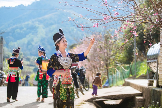 Hoa anh đào nhuộm hồng miền biên viễn xứ Nghệ- Ảnh 13.