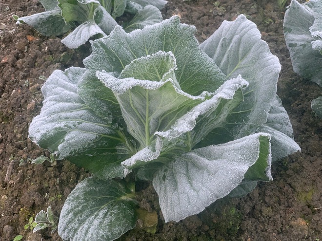 Vùng biên Nghệ An rét kỷ lục, xuất hiện băng giá- Ảnh 3.