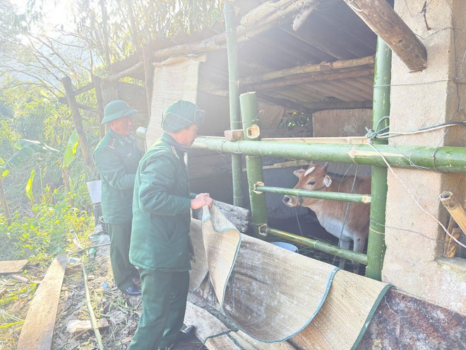 Vùng biên Nghệ An rét kỷ lục, xuất hiện băng giá- Ảnh 4.