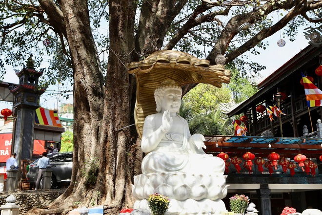 Rộn ràng chụp ảnh Tết tại ngôi chùa cuối cùng Việt Nam được phong Sắc tứ- Ảnh 14.