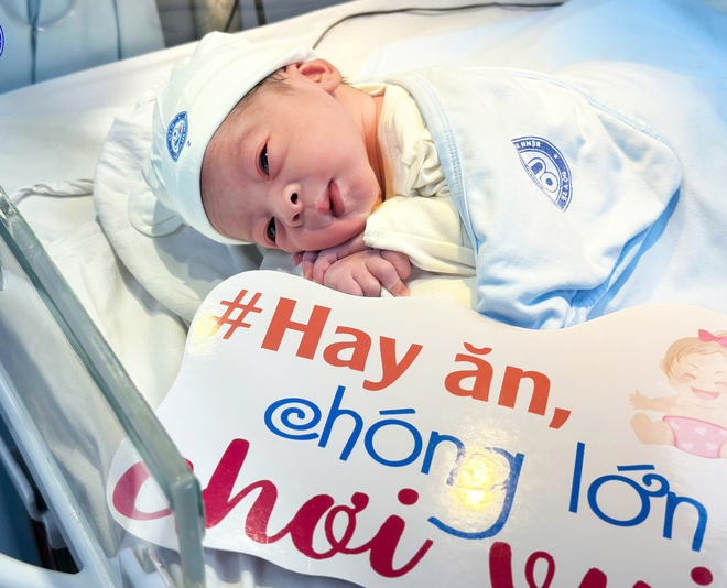 Ngắm 'chàng Ngựa vàng'  'xông đất' Bệnh viện Phụ sản Trung ương - Ảnh 3.