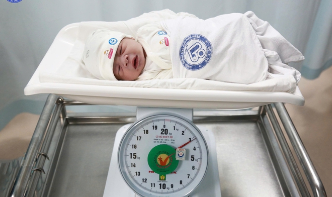 Ngắm 'chàng Ngựa vàng'  'xông đất' Bệnh viện Phụ sản Trung ương - Ảnh 2.