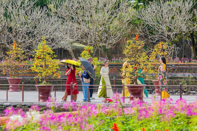 Di sản Huế 'khoác áo xuân' lộng lẫy, du khách quốc tế nườm nượp đổ về- Ảnh 12. Di sản Huế 'khoác áo xuân' lộng lẫy, du khách quốc tế nườm nượp đổ về- Ảnh 12.