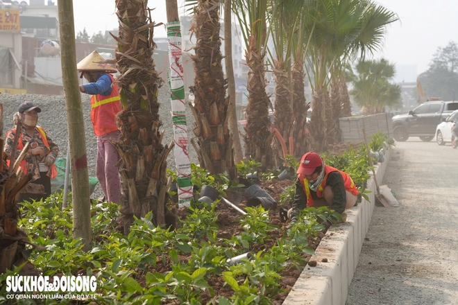 Vành đai 2,5 đoạn Đầm Hồng - QL1A và hầm chui Kim đồng sắp thông xe ngày 10/2- Ảnh 5.