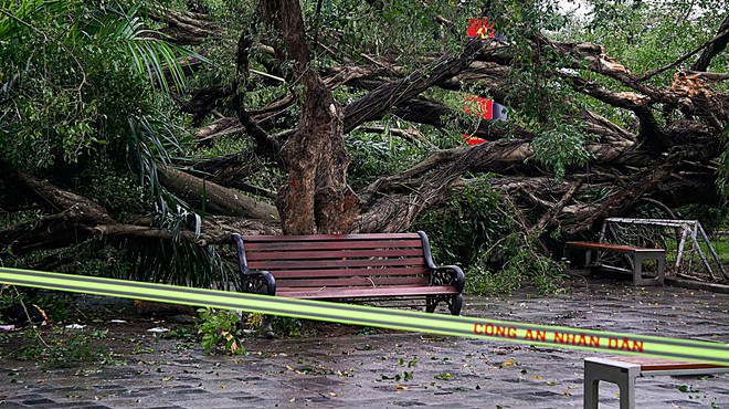 Hà Nội: Cây si cổ tại vườn hoa Lý Tự Trọng gãy đổ, 2 người bị thương- Ảnh 2.