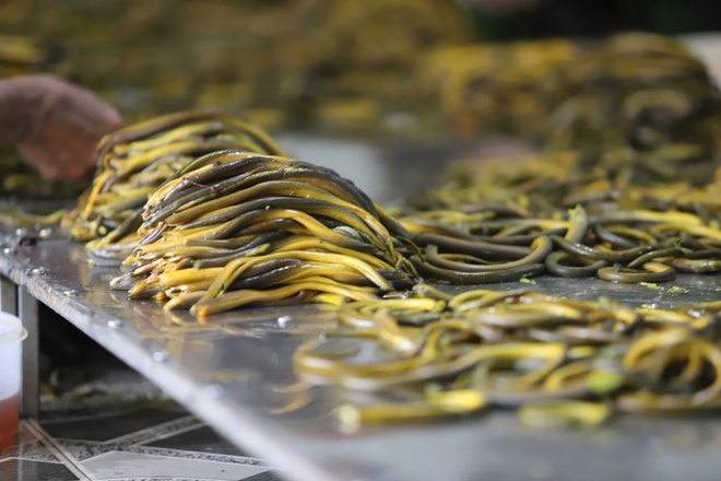 Lươn xứ Nghệ: Từ món ăn dân gian thành di sản ẩm thực quốc gia- Ảnh 3. Lươn xứ Nghệ: Từ món ăn dân gian thành di sản ẩm thực quốc gia- Ảnh 3.