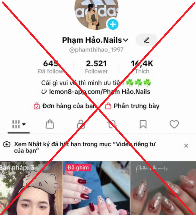 Khởi tố nhóm lừa đảo qua TikTok với chiêu ‘lỗi chuyển khoản’- Ảnh 1.