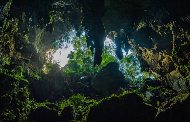 Bí ẩn hang động lưu dấu tích tộc người Arem và rừng cổ quý hiếm- Ảnh 14.