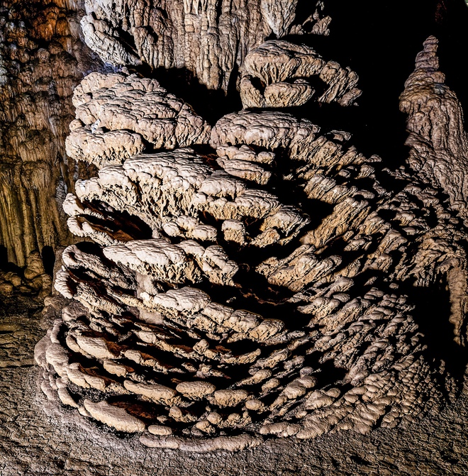 Bí ẩn hang động lưu dấu tích tộc người Arem và rừng cổ quý hiếm- Ảnh 16.