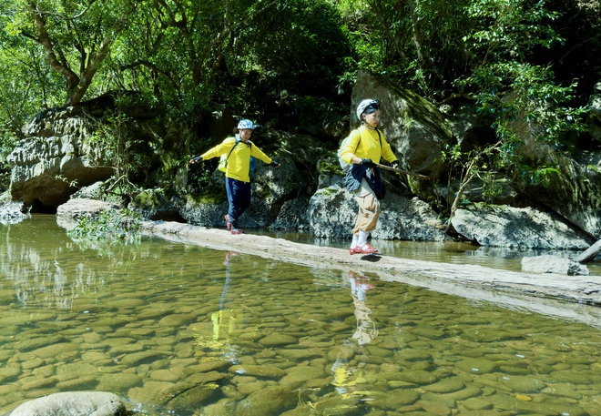 Bí ẩn hang động lưu dấu tích tộc người Arem và rừng cổ quý hiếm- Ảnh 6.