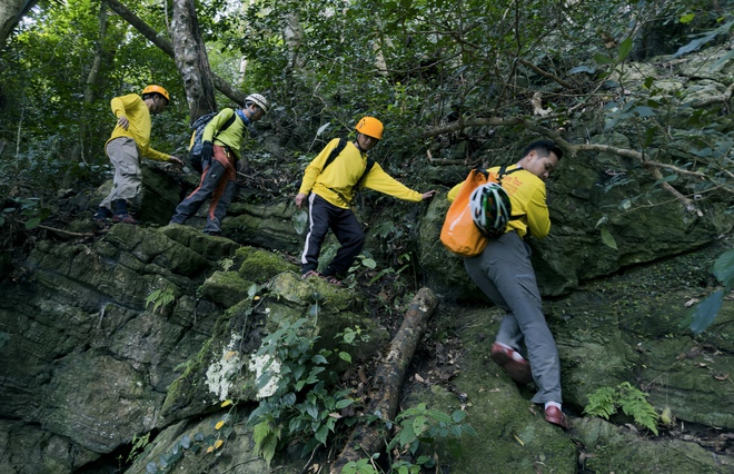 Bí ẩn hang động lưu dấu tích tộc người Arem và rừng cổ quý hiếm- Ảnh 8.