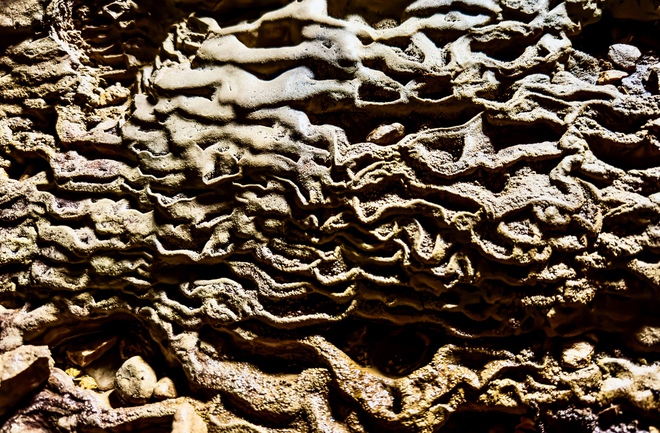 Bí ẩn hang động lưu dấu tích tộc người Arem và rừng cổ quý hiếm- Ảnh 18.