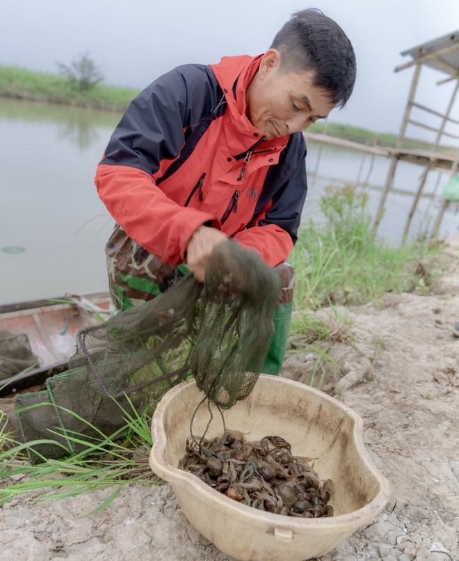 Từ 'sát thủ chim trời' thành người giữ hồn đầm phá Hạc Hải- Ảnh 9.
