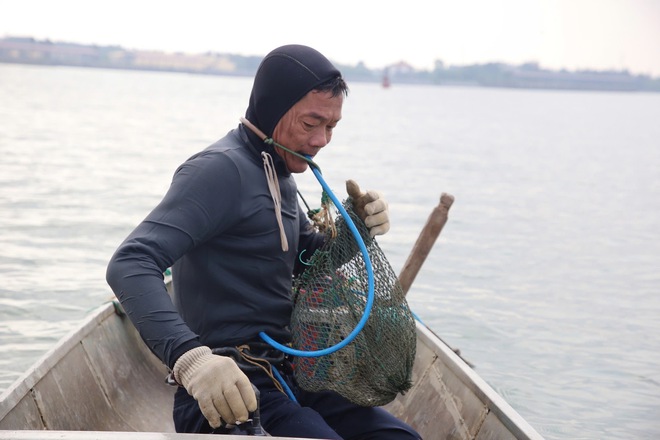 Nghề 'săn' đặc sản dưới đáy sông Nhật Lệ- Ảnh 4. Nghề 'săn' đặc sản dưới đáy sông Nhật Lệ- Ảnh 4.