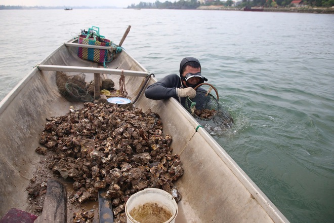 Nghề 'săn' đặc sản dưới đáy sông Nhật Lệ- Ảnh 7. Nghề 'săn' đặc sản dưới đáy sông Nhật Lệ- Ảnh 7.