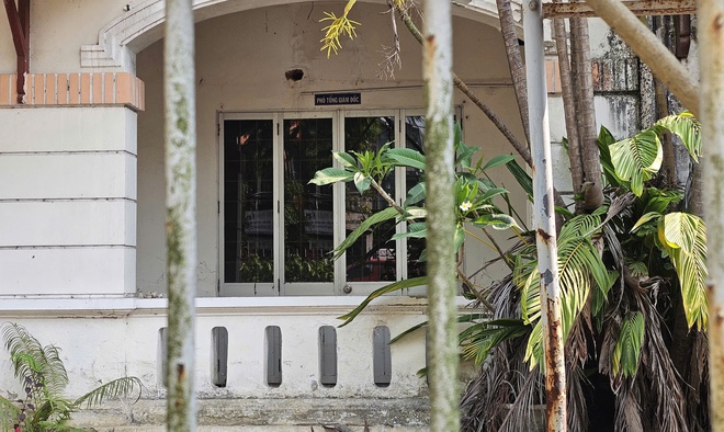 Hiện trạng khu đất 'vàng' sắp đấu giá làm tổ hợp thương mại, khách sạn cao cấp ở Huế- Ảnh 4.