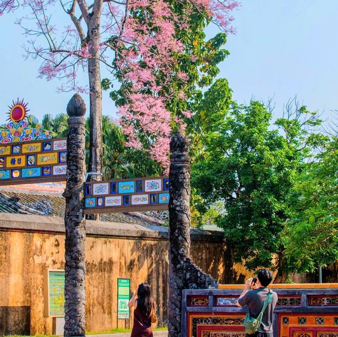 Lạc bước giữa sắc hoa ngô đồng nơi Hoàng cung Huế- Ảnh 7.