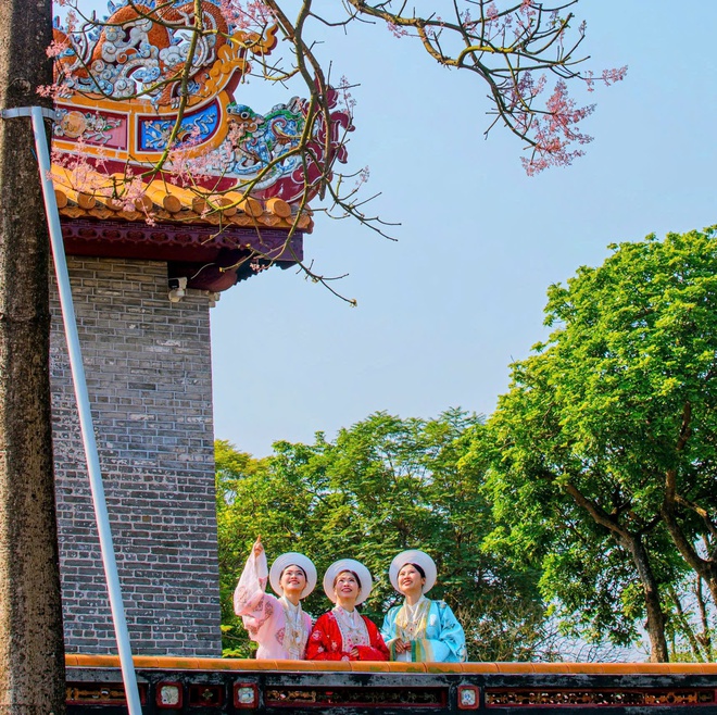 Lạc bước giữa sắc hoa ngô đồng nơi Hoàng cung Huế- Ảnh 6.