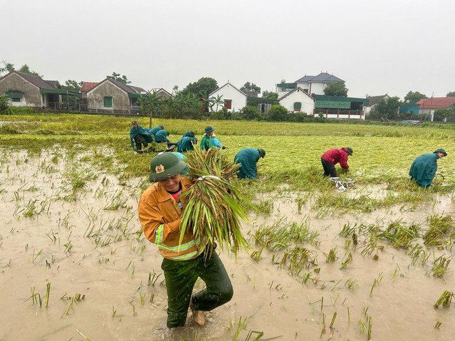 Công an, bộ đội dầm mưa giúp dân cứu lúa sau dông lốc ở Nghệ An
- Ảnh 2.
