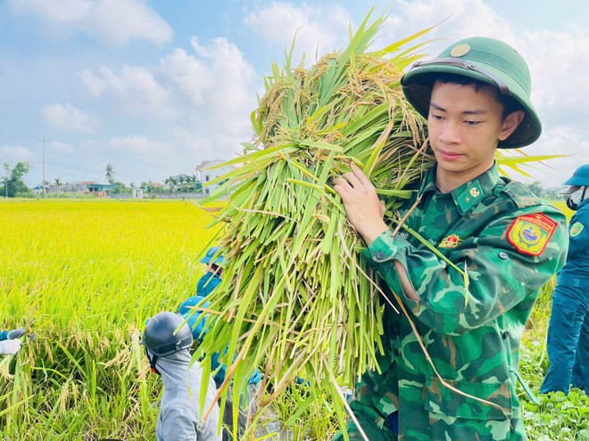 Công an, bộ đội dầm mưa giúp dân cứu lúa sau dông lốc ở Nghệ An
- Ảnh 4.